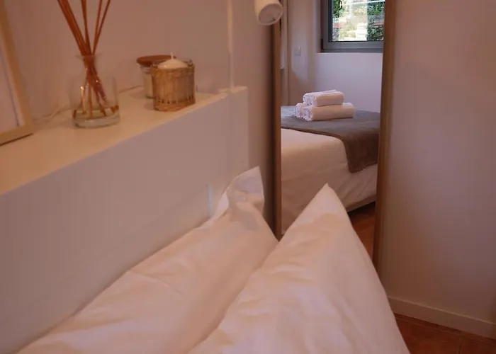 Cantinho Dos Avos - Sever do Vouga