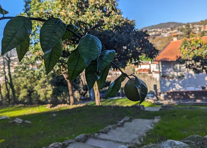 Cantinho Dos Avos - * Sever do Vouga